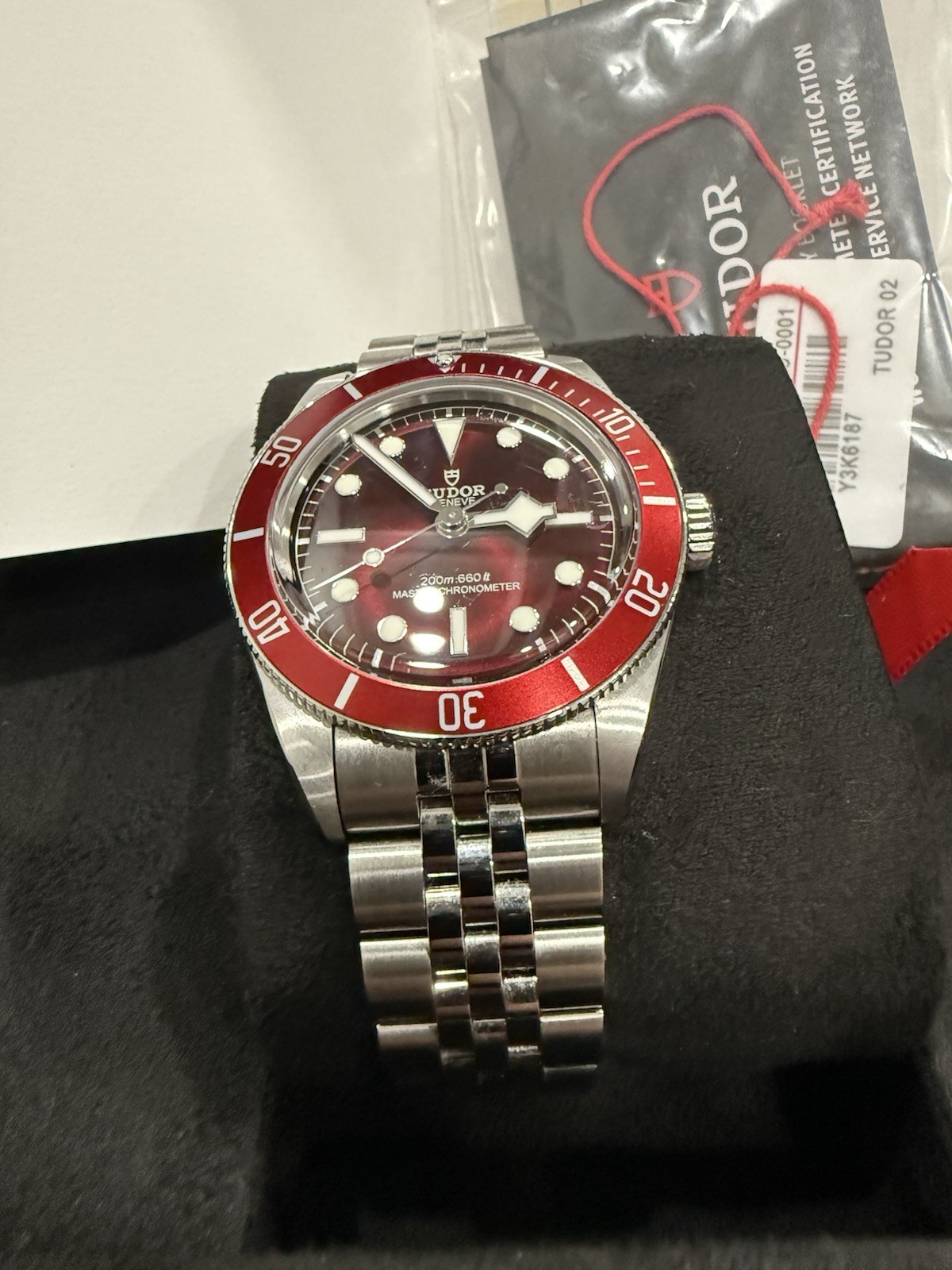 Tudor Black Bay 58 Burgundy Dial Stainless Steel Watch M7939A1A0RU-0002