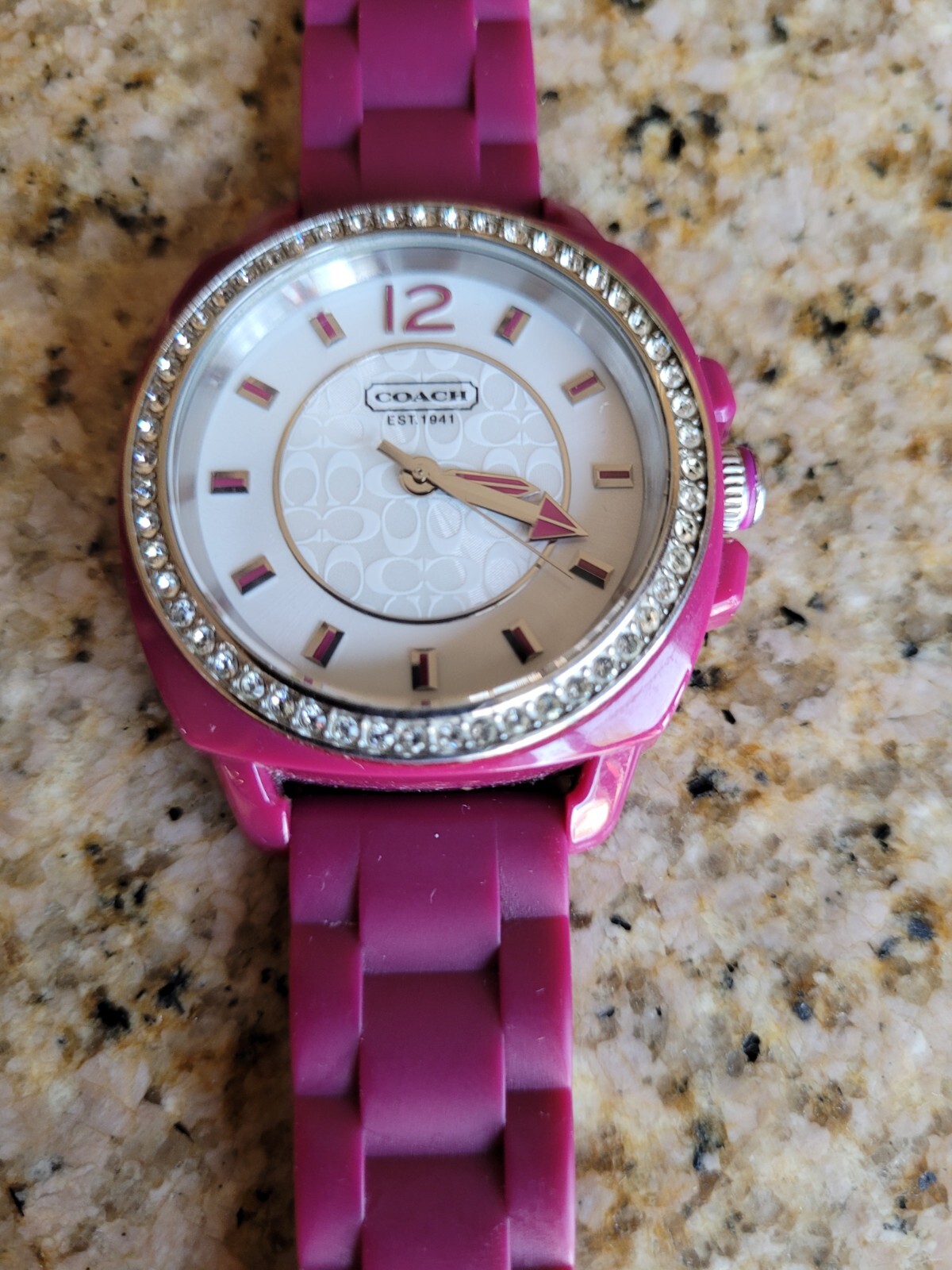 COACH Boyfriend Berry Watch Silicone / Rubber Band