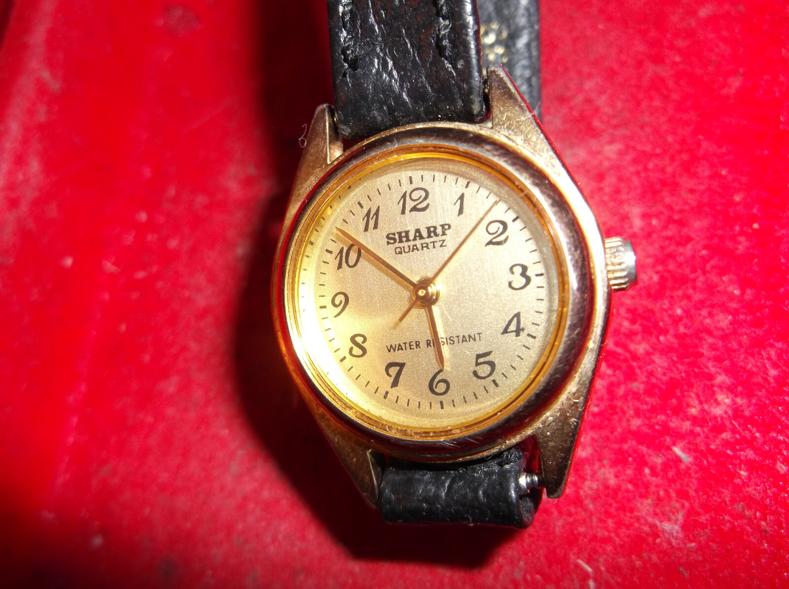 WATCHS UNISEX ADULTS