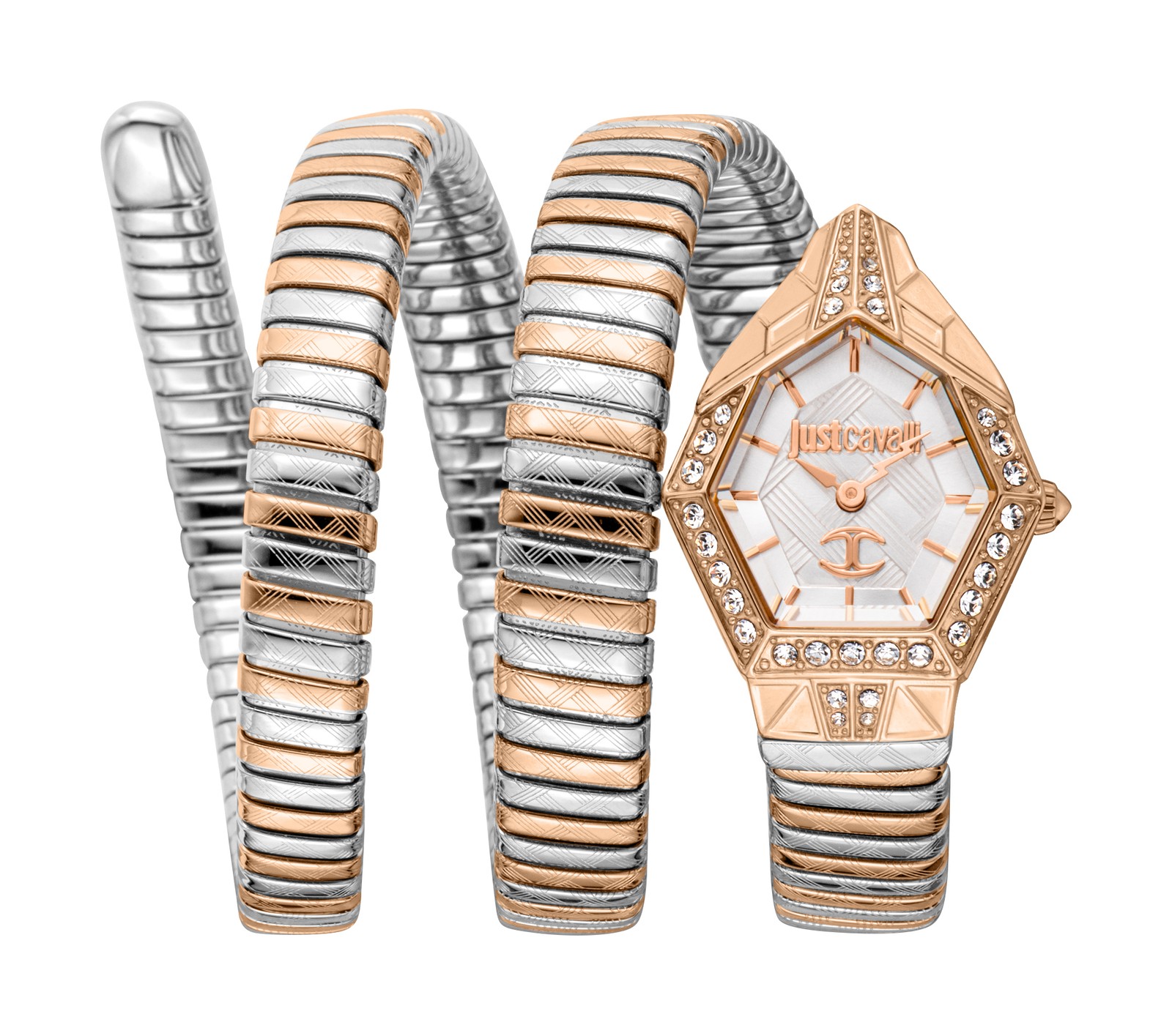 Just Cavalli Women’s Mesmerizing 23mm Quartz Watch JC1L304M0075