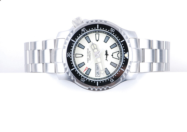 Heimdallr Pro Master FUGU Full Lume NH36A Day Date Dial Automatic Diver Watch C3