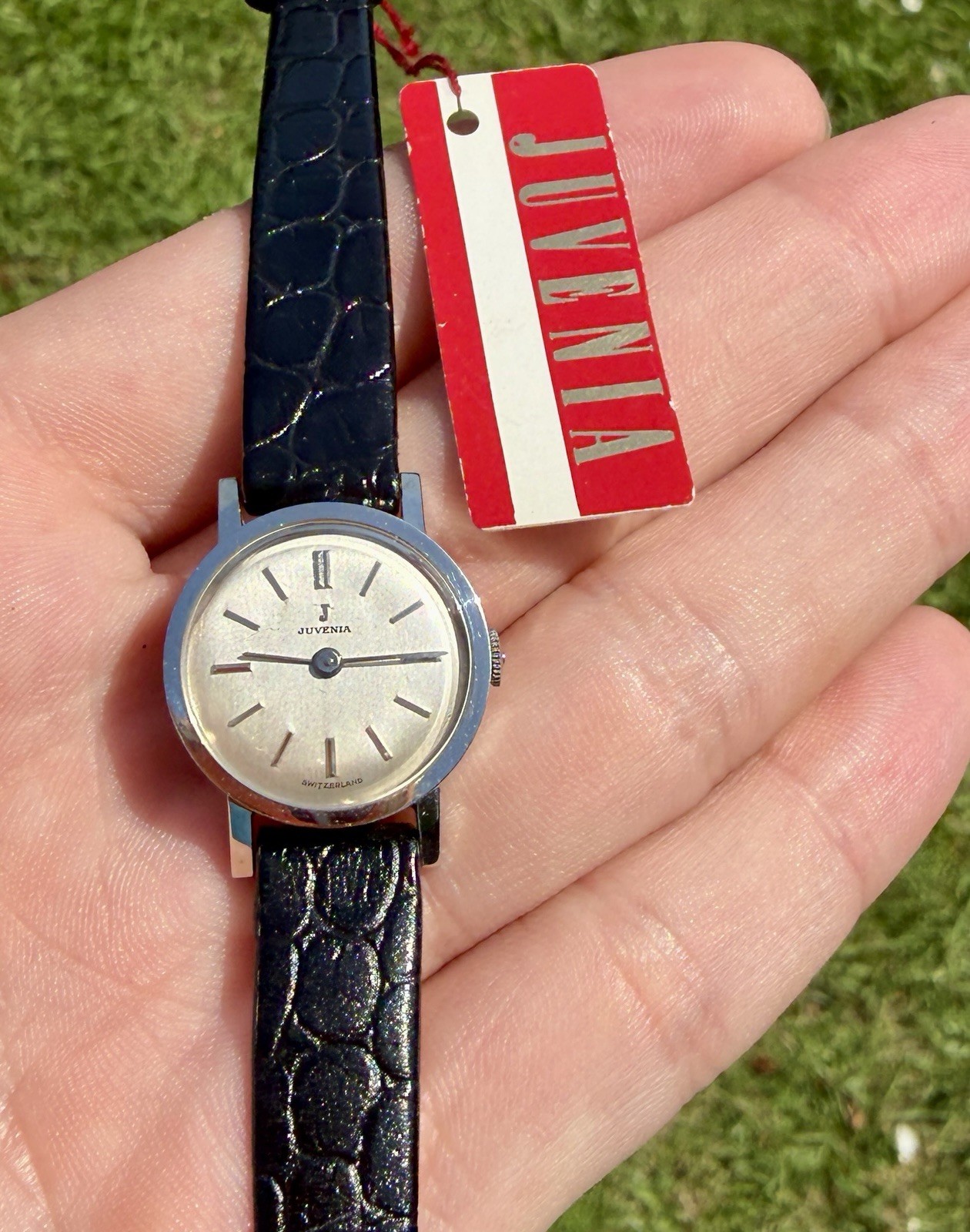 New Old Stock Ladies 1960’s Juvenia, Swiss Steel Case, Brushed Dial