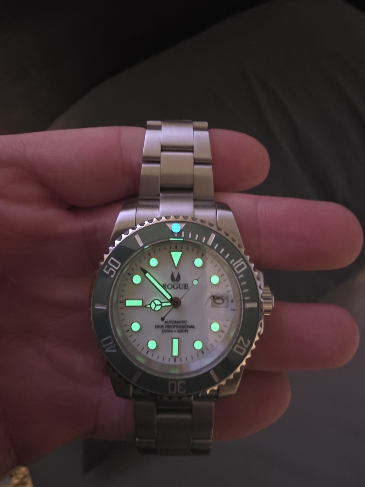 Rogue Dive Professional Watch