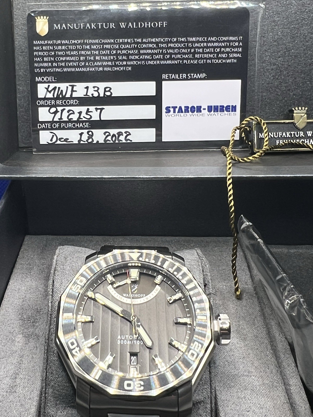 Waldhoff Seawolf II Labradorite SS MW-26CL Automatic Watch Full Set Box Papers