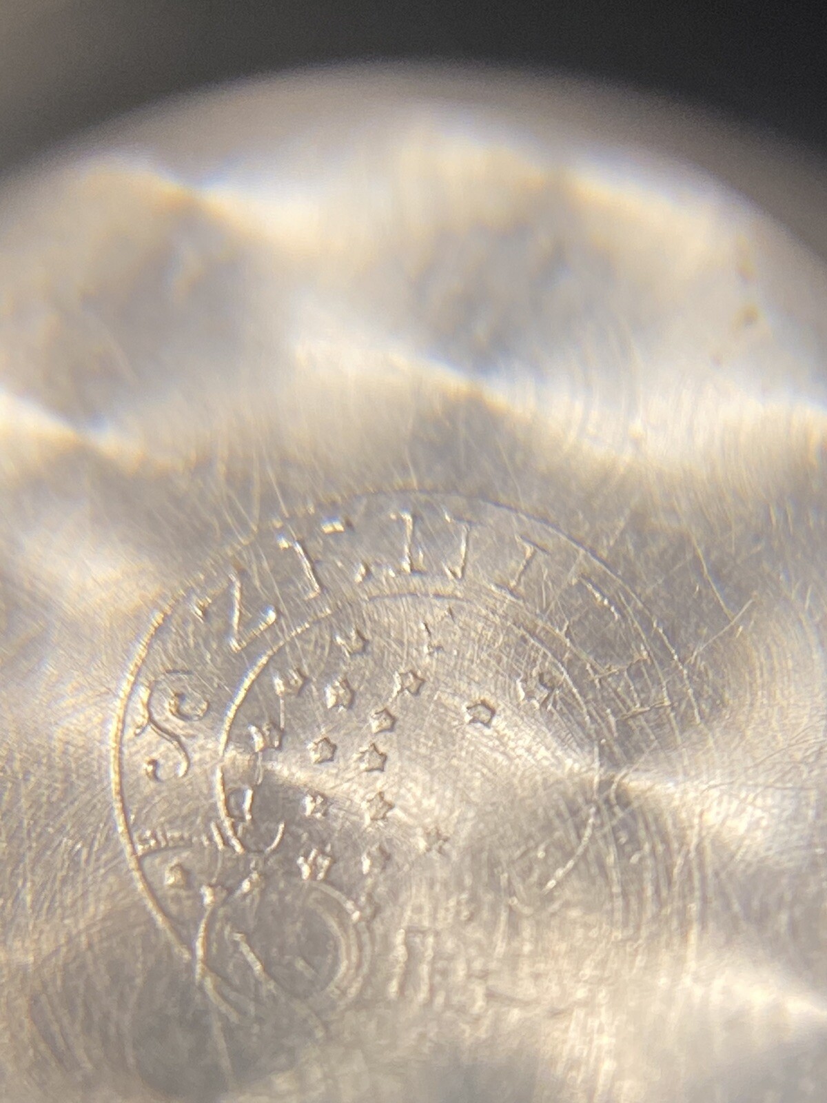 Zenith Screw Down Caseback