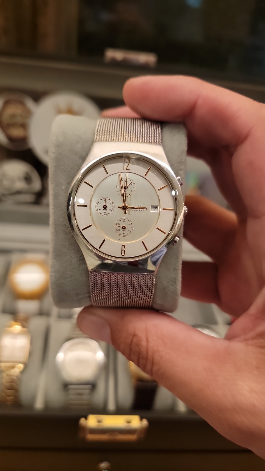 Skagen Denmark Chronograph 238LSGS