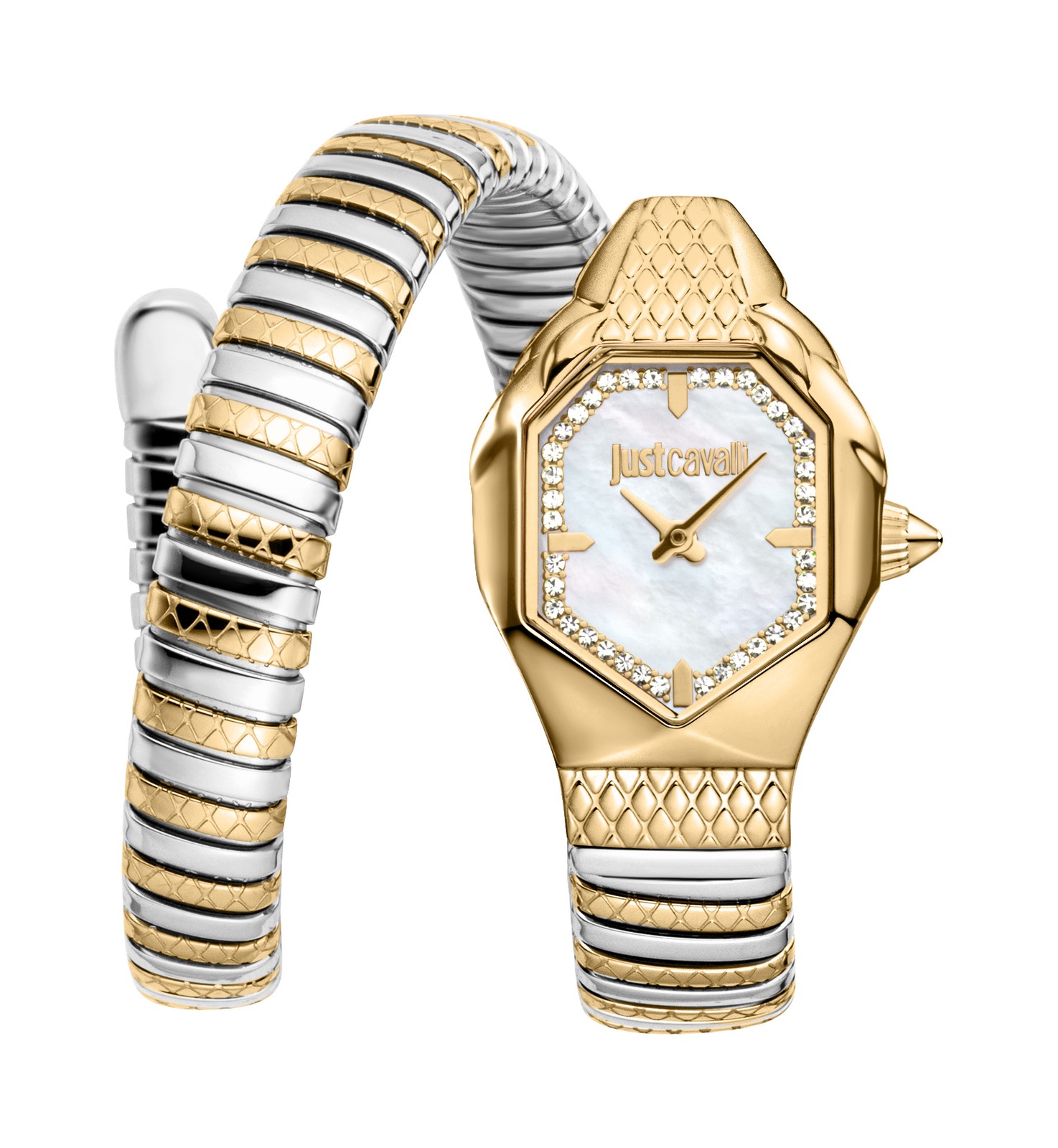 Just Cavalli Women’s Snake 22mm Quartz Watch JC1L369M0065