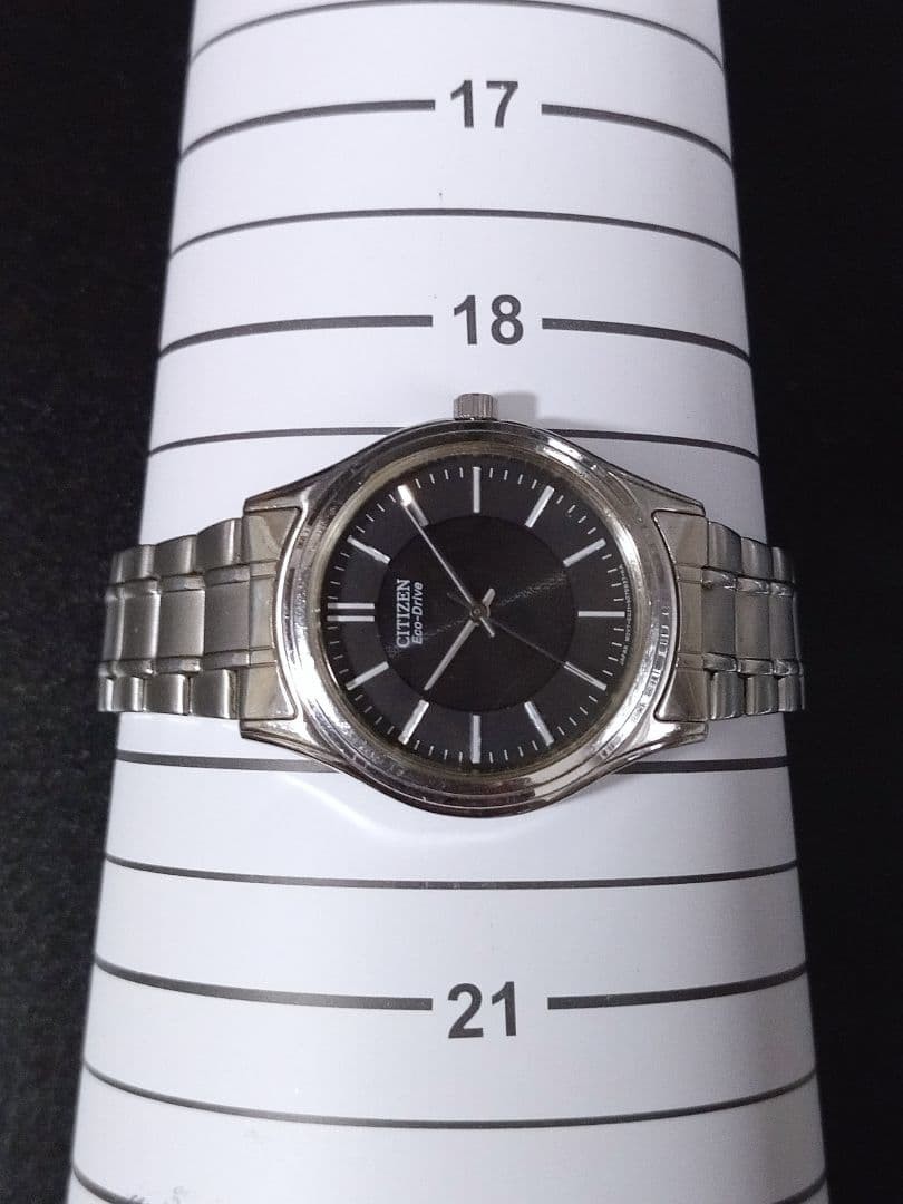 CITIZEN Eco-Drive E031-S048419 Business Watch
