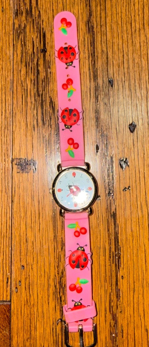 Geneva Ladybug Girls Pink Silicone Quartz Wristwatch Stainless Steel Analog