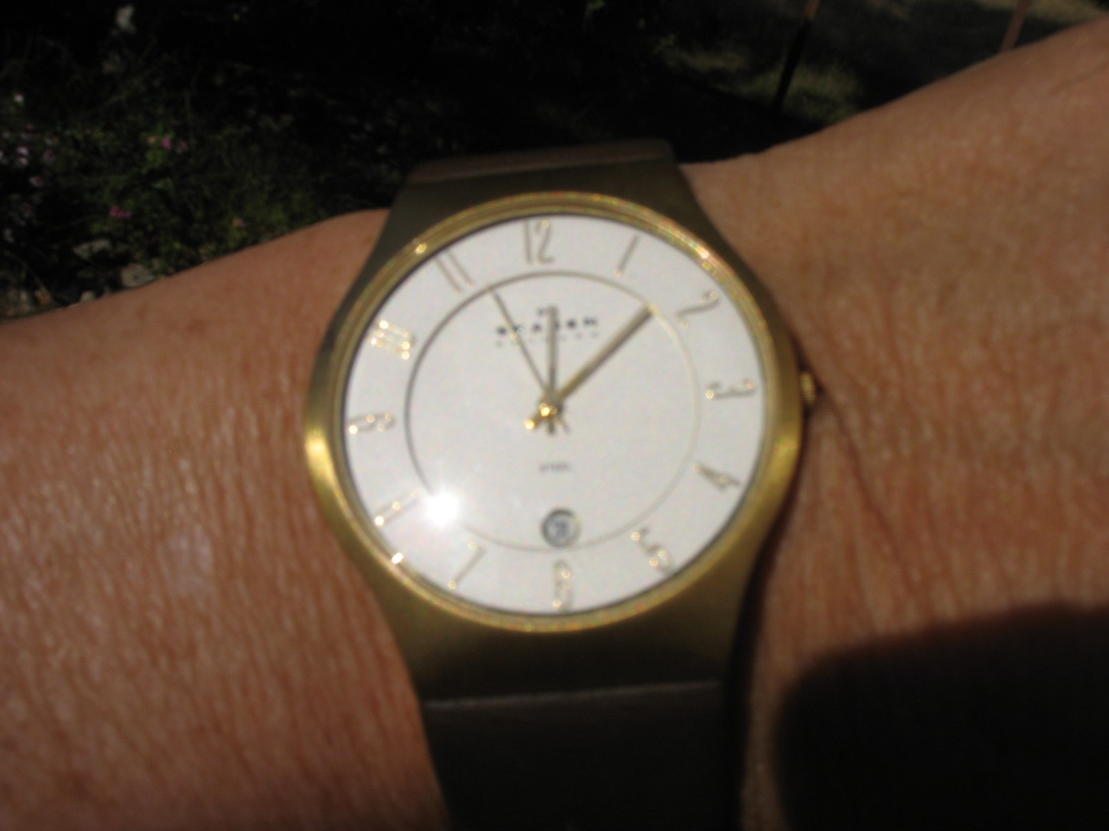 Skagen Denmark 233XXLGL Men’s Stainless Steel Quartz Watch Brown Leather Strap