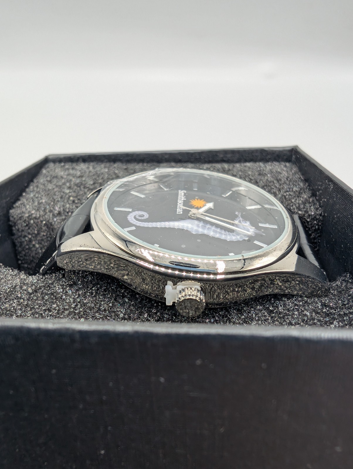 Smithsonian Seahorse X-Ray Watch NEW Hippocampus Sindonis Leather Game Time