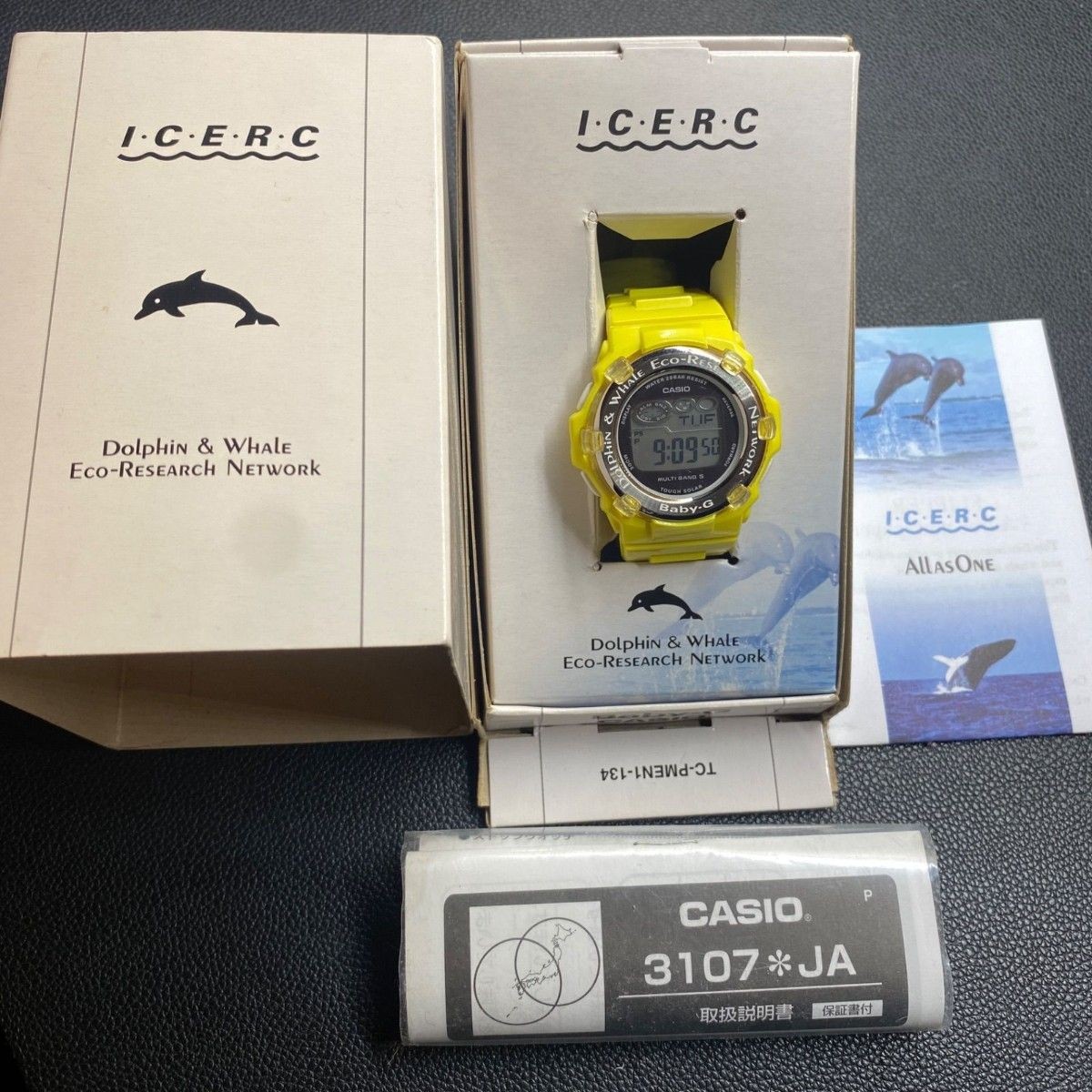 CASIO Baby G Ilkji Radio Solar BGR 3001K 9JR Women’s Watch